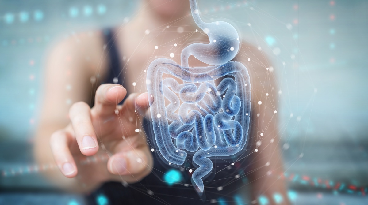 Gut Microbiota Balance