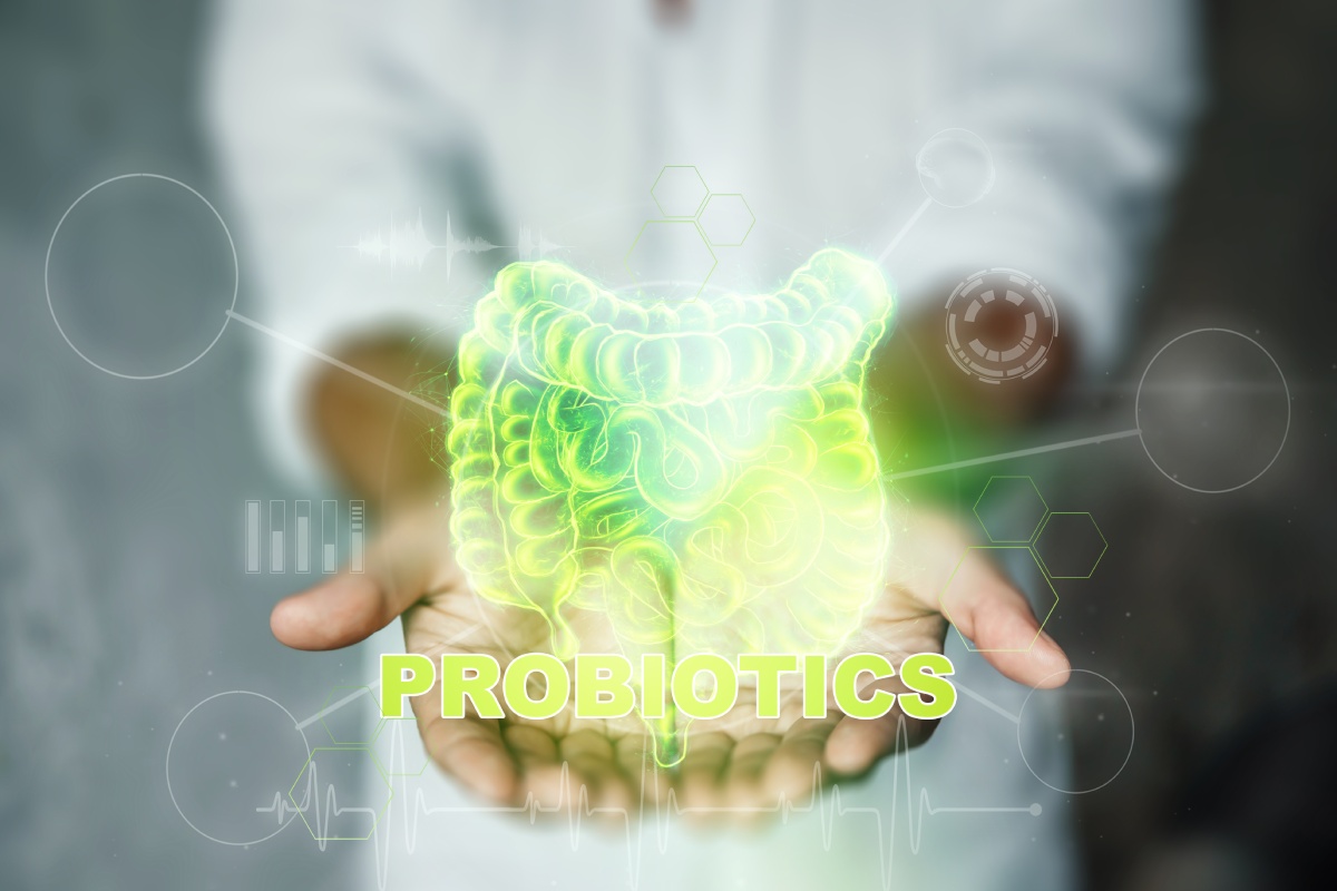  The concept of diet, intestinal microflora, microorganisms, healthy digestion
