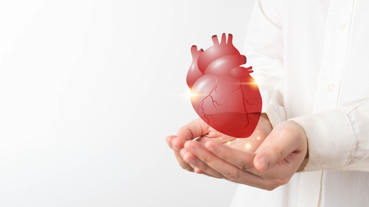 Person in white shirt holding a digital representation of a human heart in their cupped hands against a white background.
