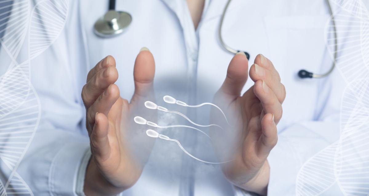 reproductive health | sperm cells