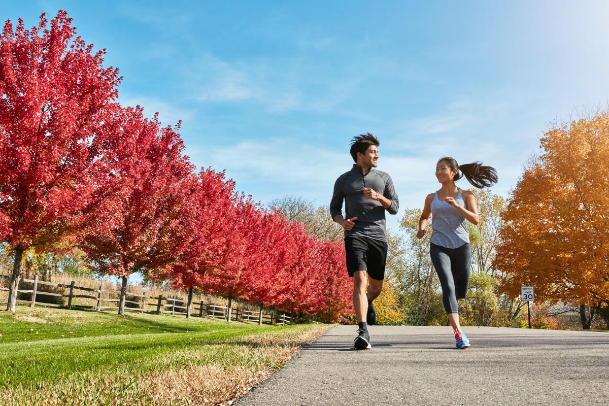 Two people jogging on a paved path lined with red-leaved trees in a park on a clear day.