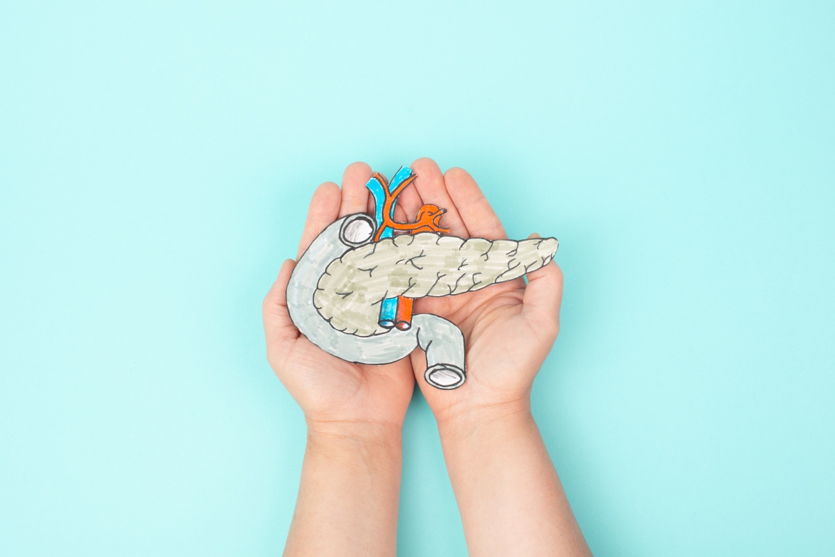 Hands hold an illustrated model of a pancreas, with a light blue background.
